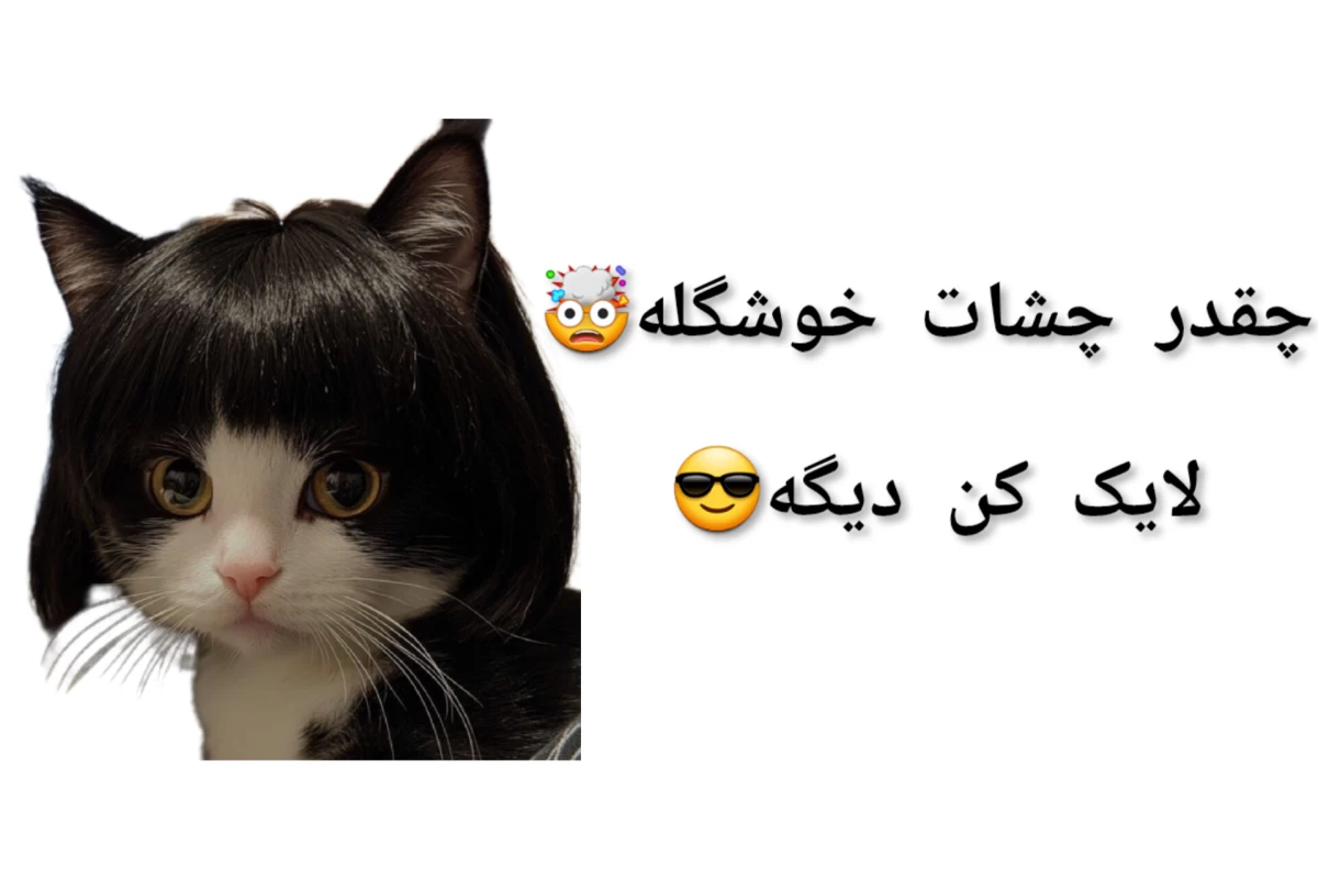 عکس اینم از شانس ماست (  فان  )
