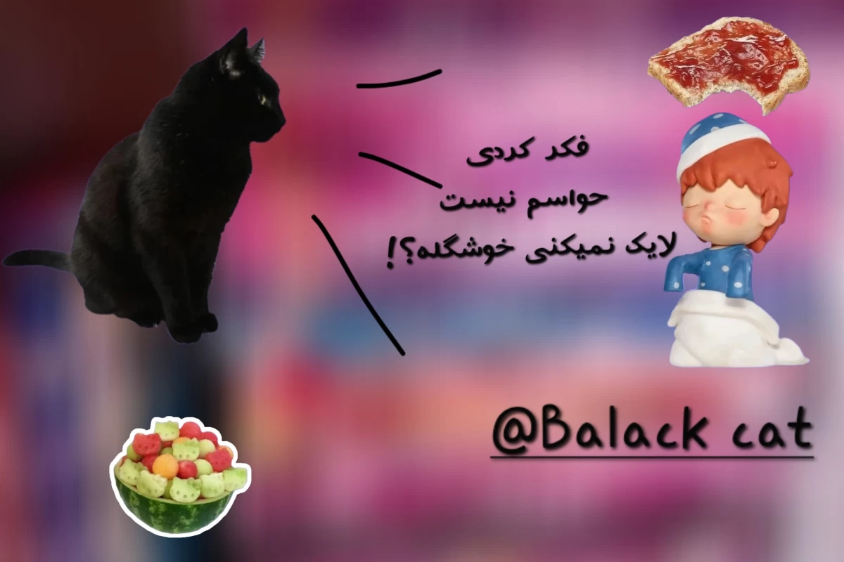 عکس کاربر تازه‌وارد حالا داشتم دردودل میکردم چرا فرار کردی؟