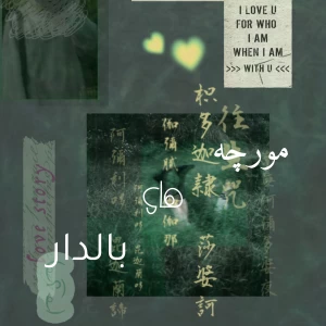 کاور
