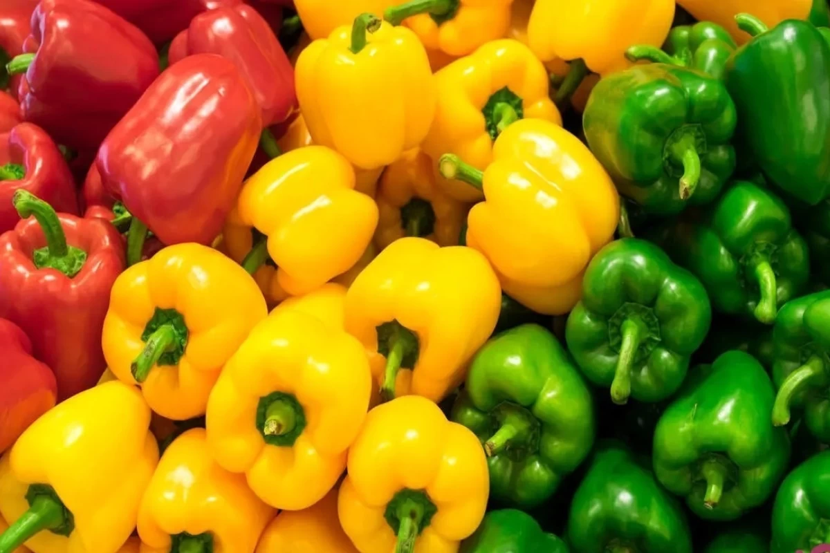 عکس فلفل ها🌶