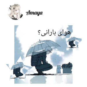 کاور