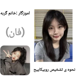 کاور