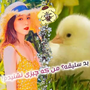 کاور