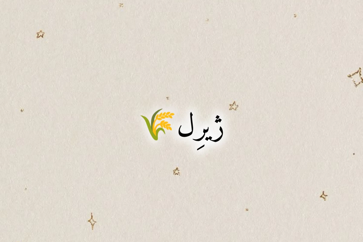 عکس معلومه که زیباست.