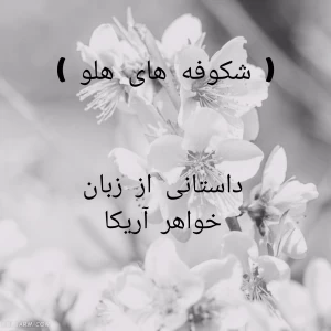کاور