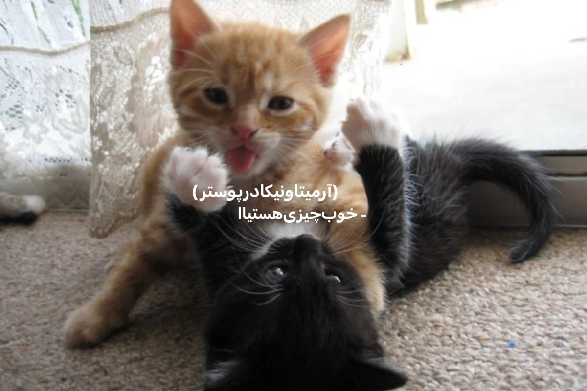 عکس هميشه‌و‌همیشه‌نادیده‌گرفته‌میشه‌‌ولی ...