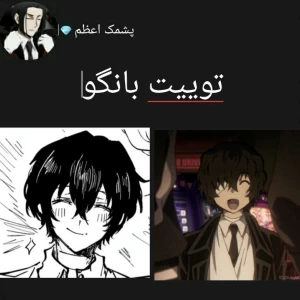 کاور