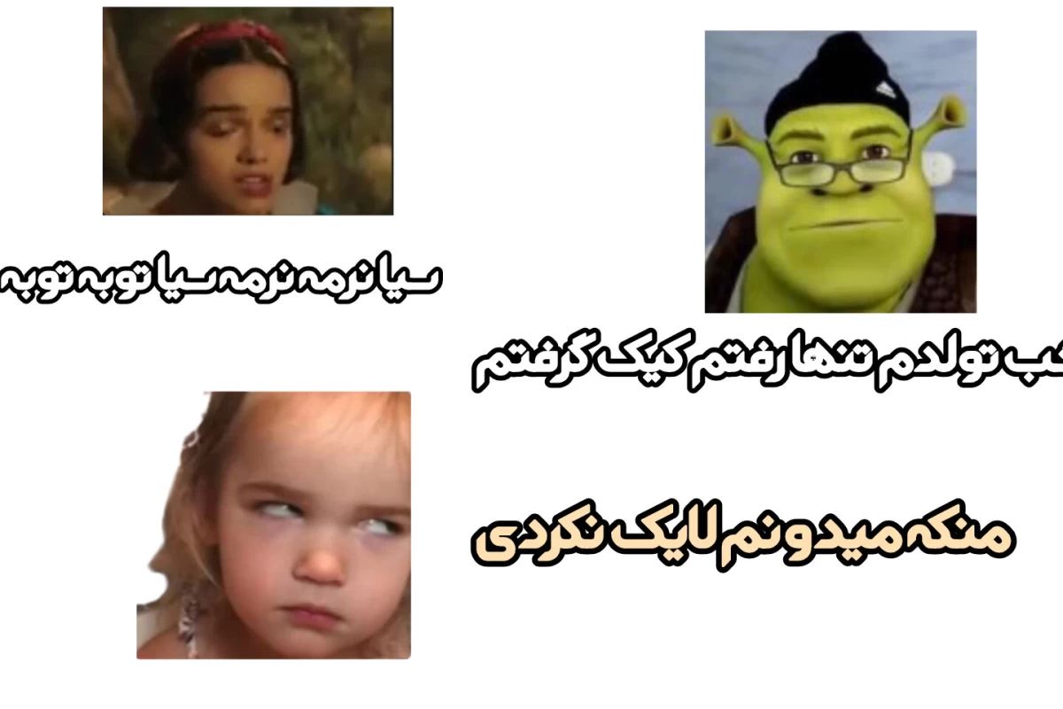 عکس چگونه ناظر شویم؟(فانver)