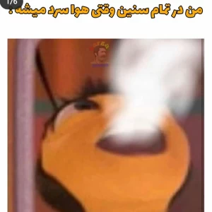 عکس میمعلی ۱۰۹