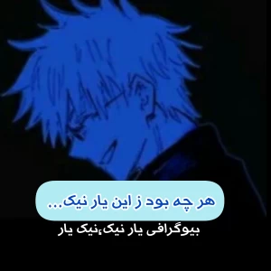 عکس هر چه بود ز این یار نیک...