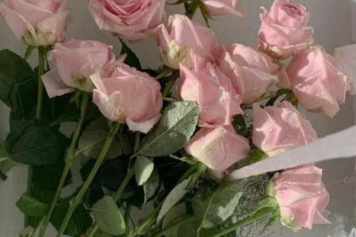عکس رقص پول ... ؟(۳)