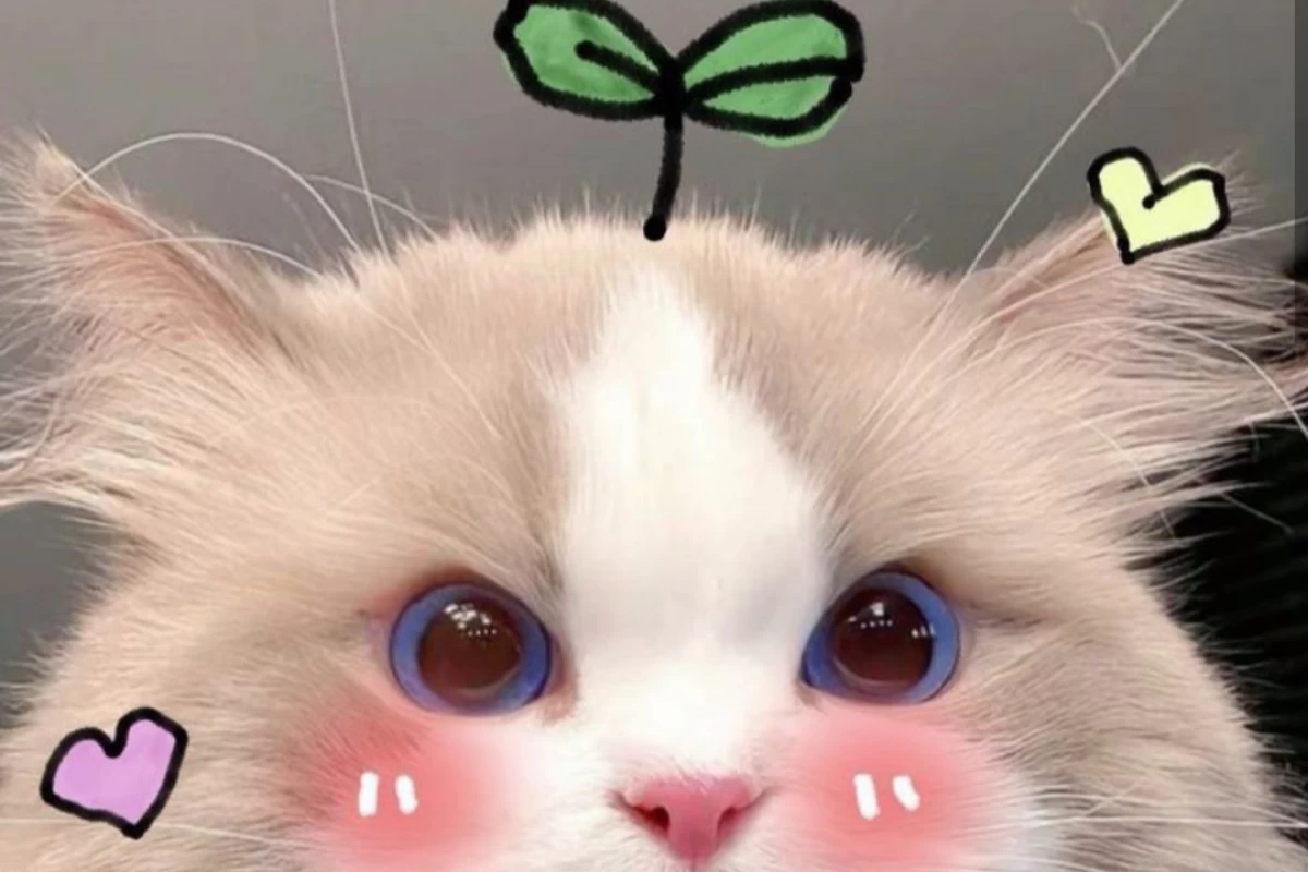 عکس من که هستم؟