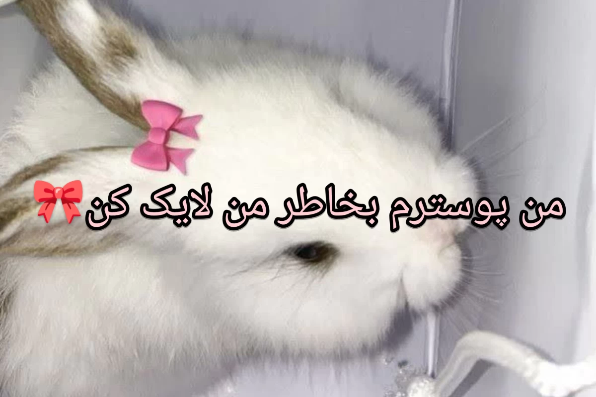 عکس ولی اون حقش این نبود(ورژن کیپاپ)