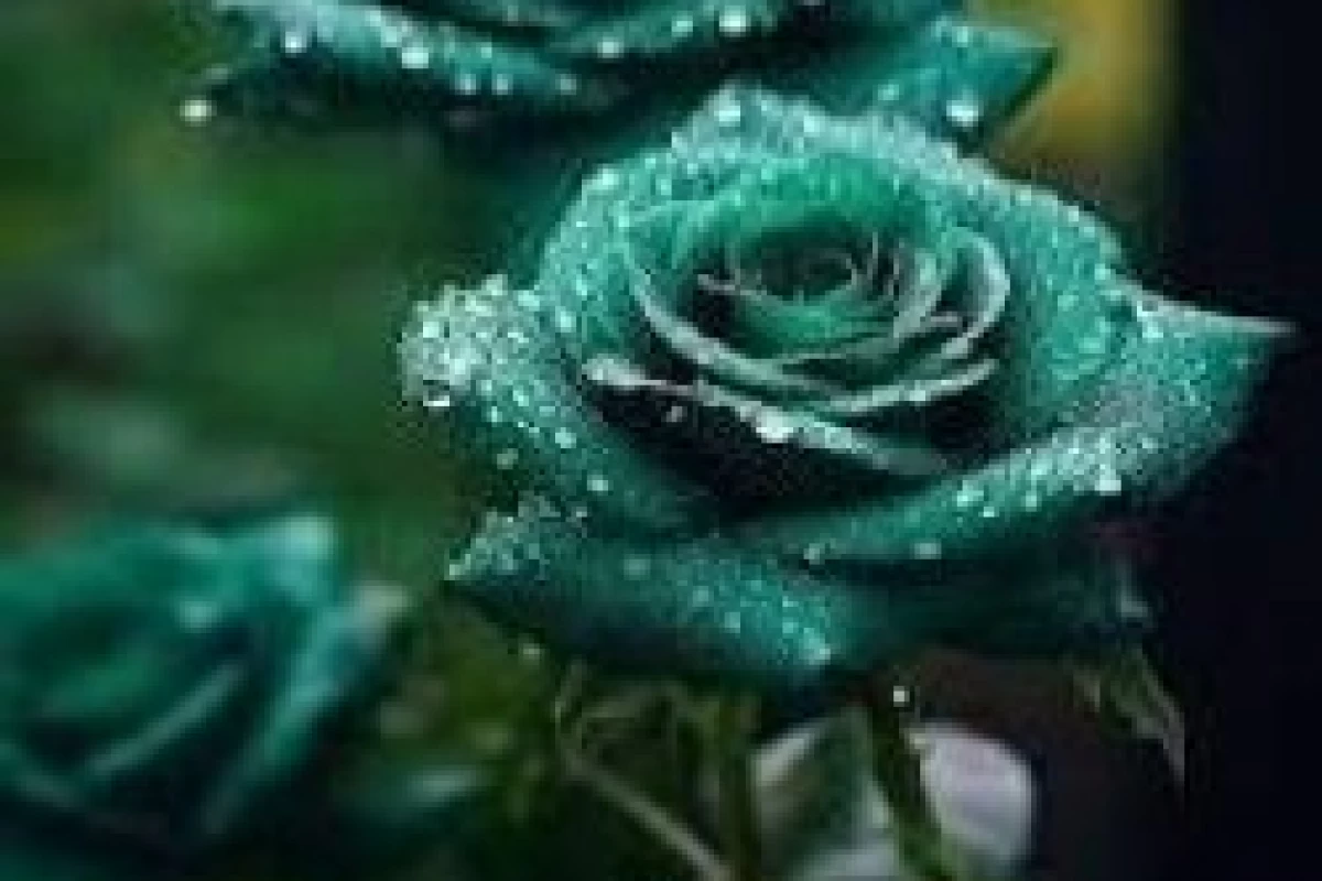 عکس زهرا .