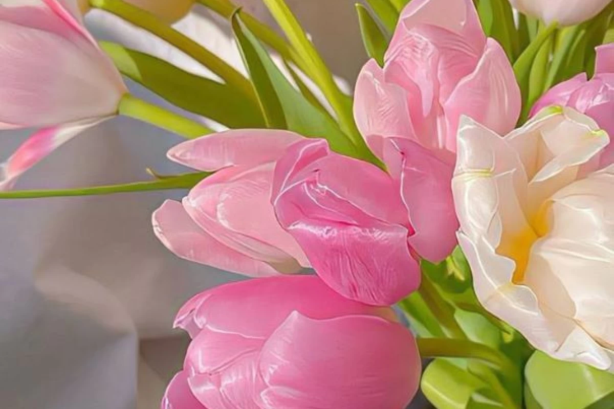 عکس چرا بعضی از خاطرات را فراموش می‌کنیم،