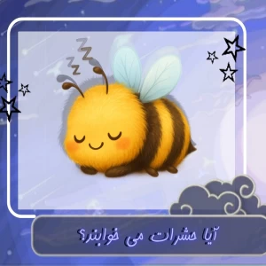 کاور