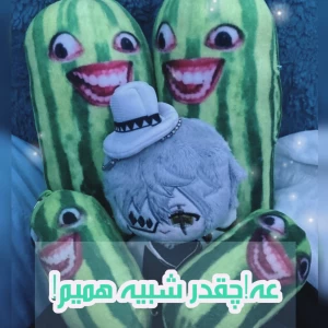 کاور