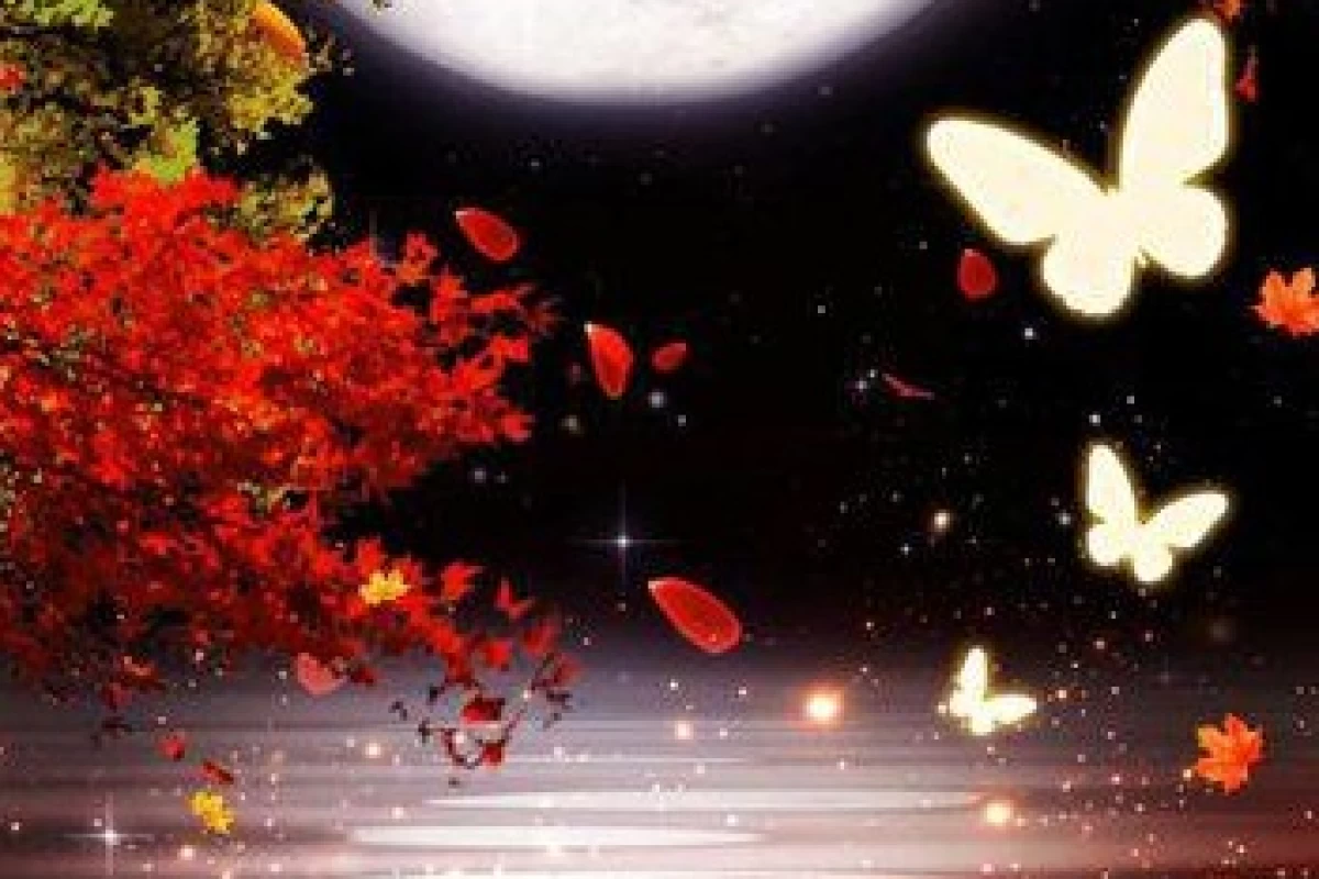 عکس چشمان اقیانوسی فصل اول