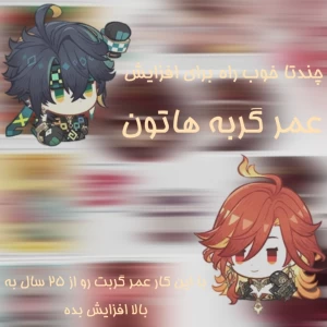 کاور