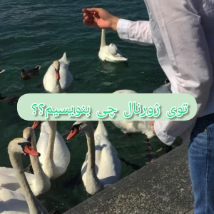 کاور