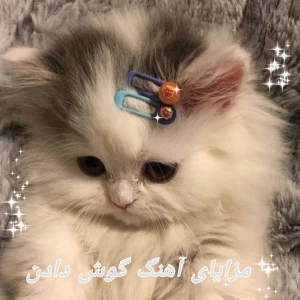 کاور