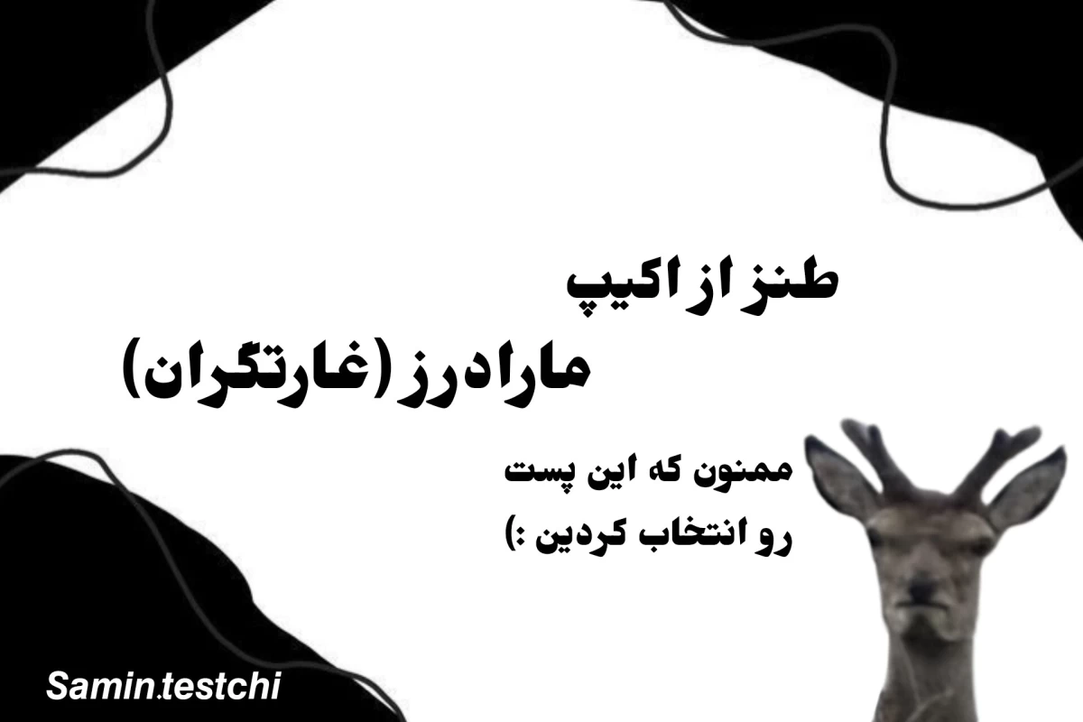 عکس میم از غارتگران