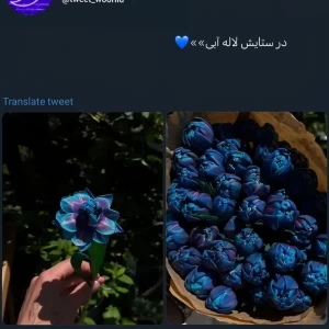 کاور
