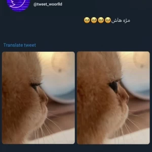 کاور