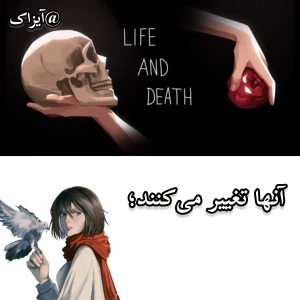 کاور
