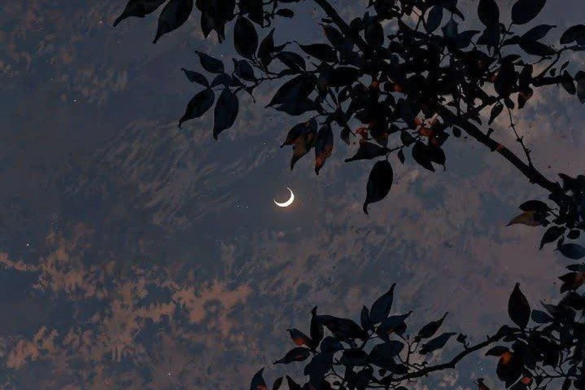 عکس برای آخرین بار..