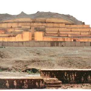 کاور
