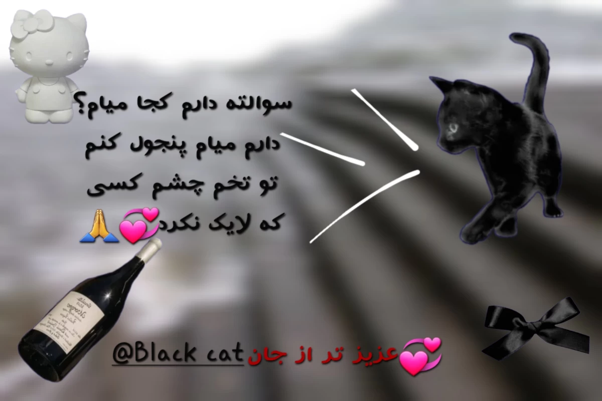 عکس فرق پز دادن با ذوق داشتن!