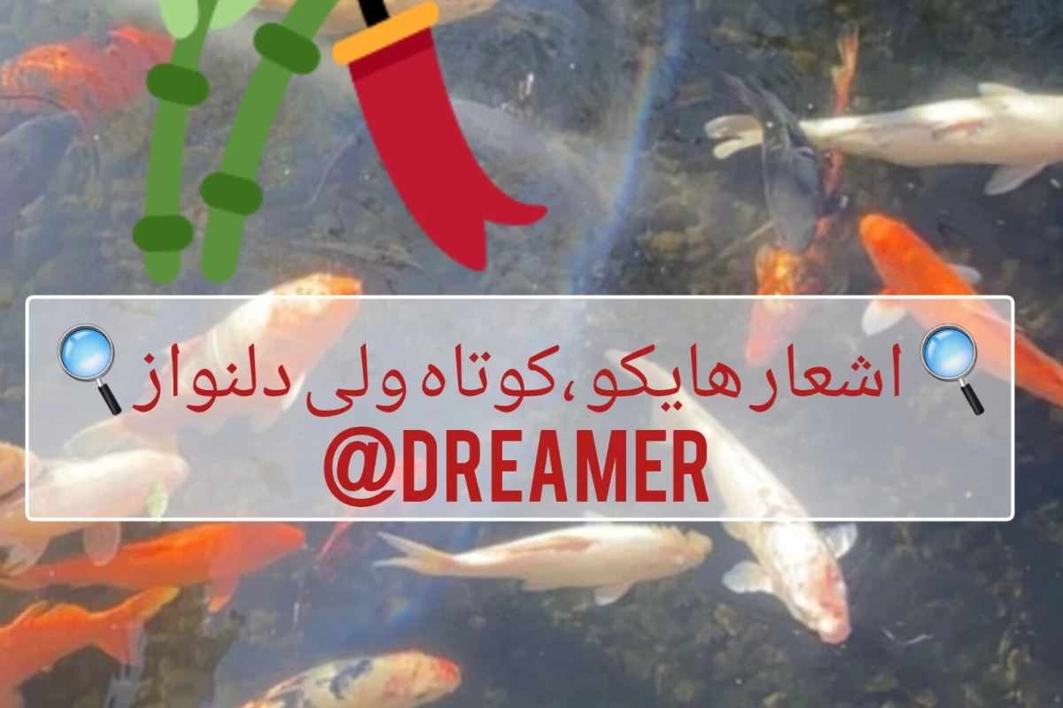 عکس شعر هایکو چیست؟!