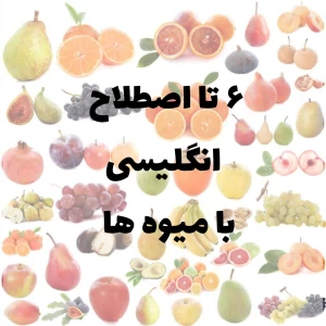 عکس ۶ تا اصطلاح انگلیسی با میوه ها