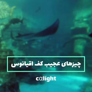 کاور