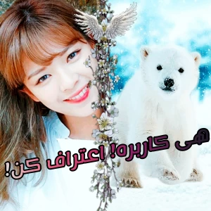 کاور