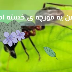 کاور