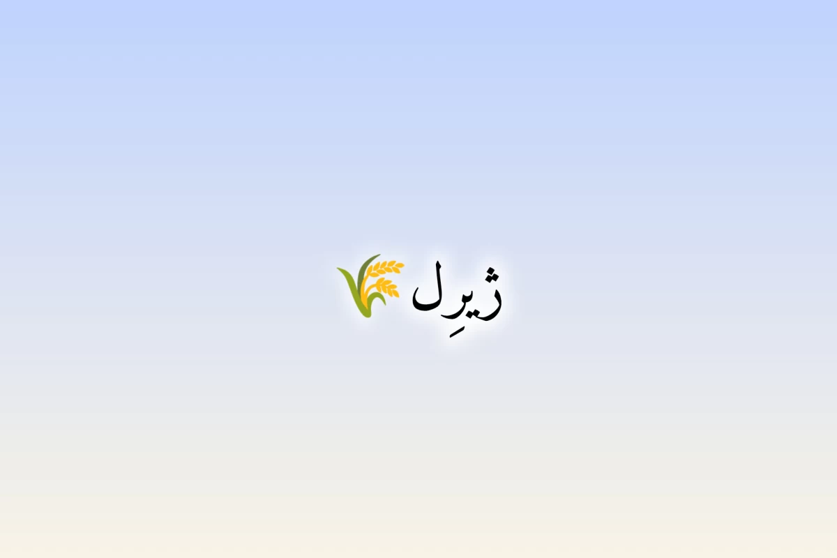 عکس اپلیکیشن برای تو و دوستت