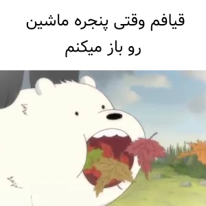 کاور