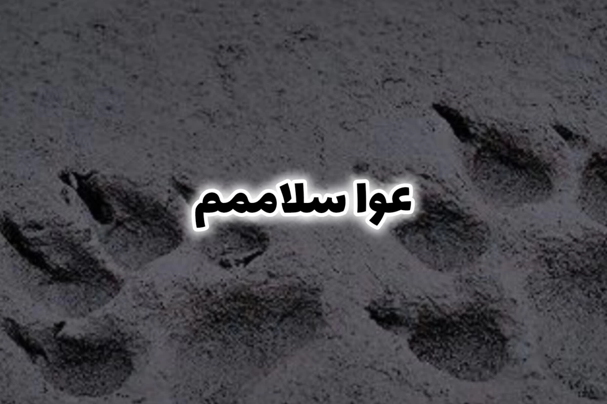 عکس بله عزیزم من × هستم!( هری پاتر ver)