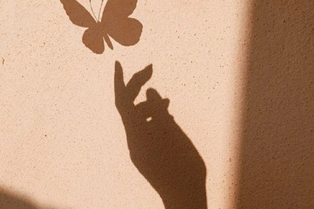 عکس کتاب ها اگه آهنگ بودن✨️