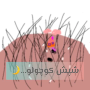 کاور