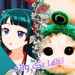 کاور