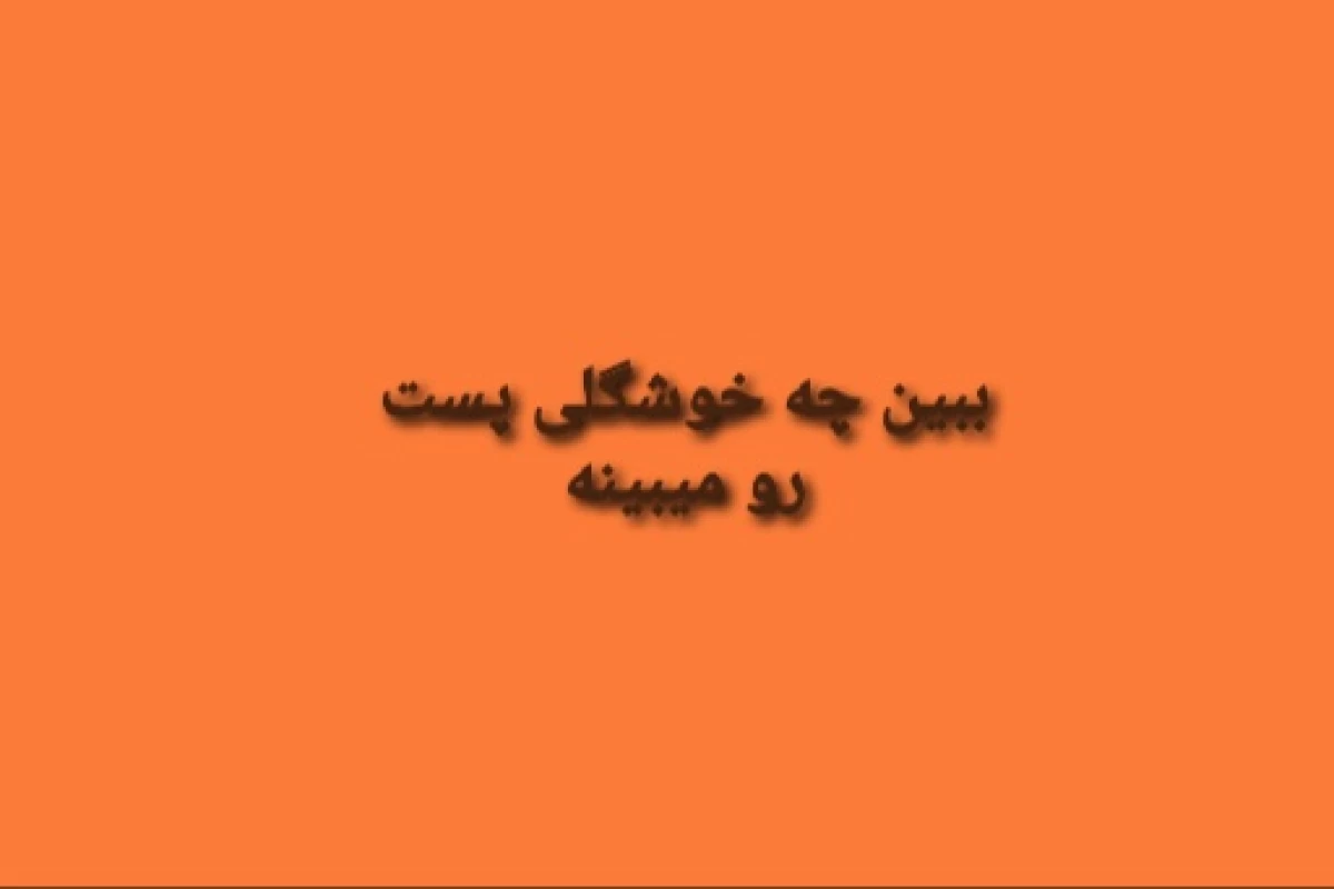 عکس ببخشید ولی اون فقط داشت سر به سرت میذاشت!