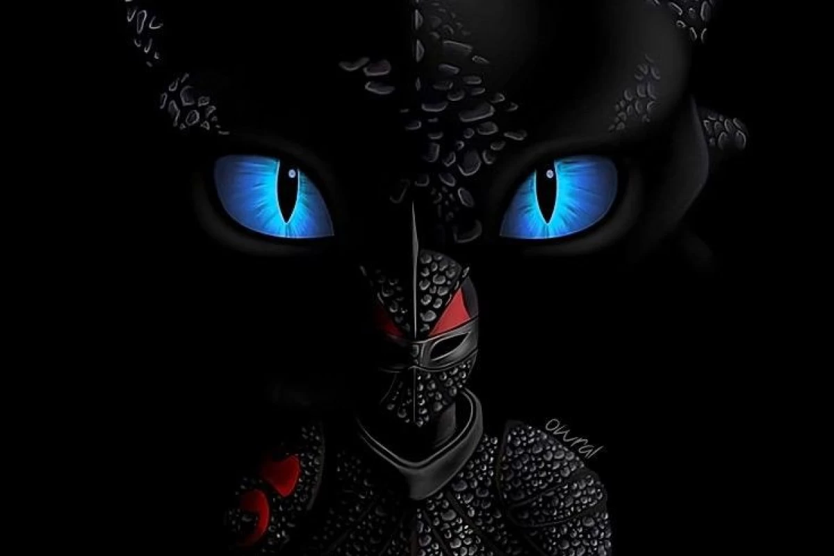 عکس MY BIO
