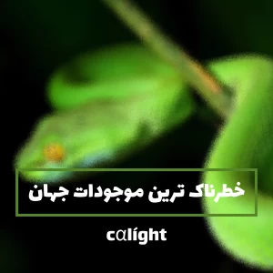 کاور