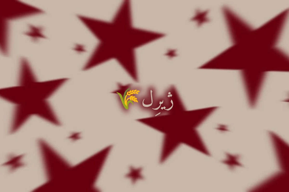 عکس سرتو بالا بگیر! (ایران ورژن)