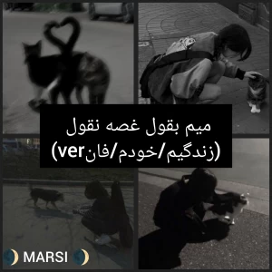 کاور