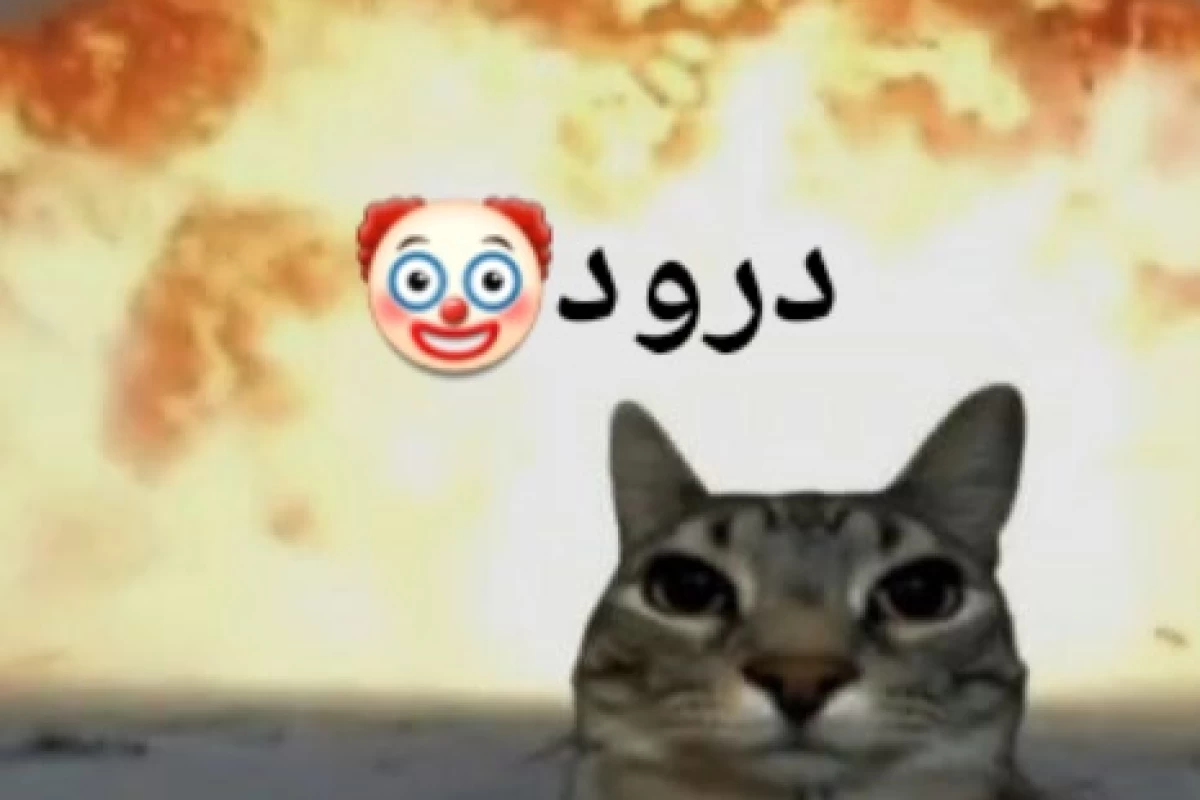 عکس میم :)