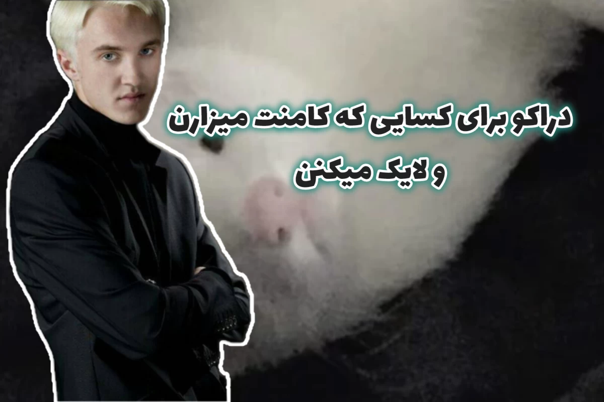 عکس صدام کن پاترهد چون(پارت اخر)